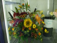 /album/your-town-florist/dscf0224-jpg/