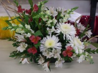 /album/your-town-florist/dscf0307-jpg/