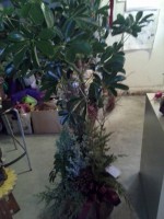 /album/your-town-florist/a20131112-090625-jpg/