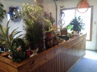 /album/your-town-florist/a20131109-111123-jpg/