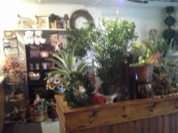 /album/your-town-florist/a20131109-111108-jpg/